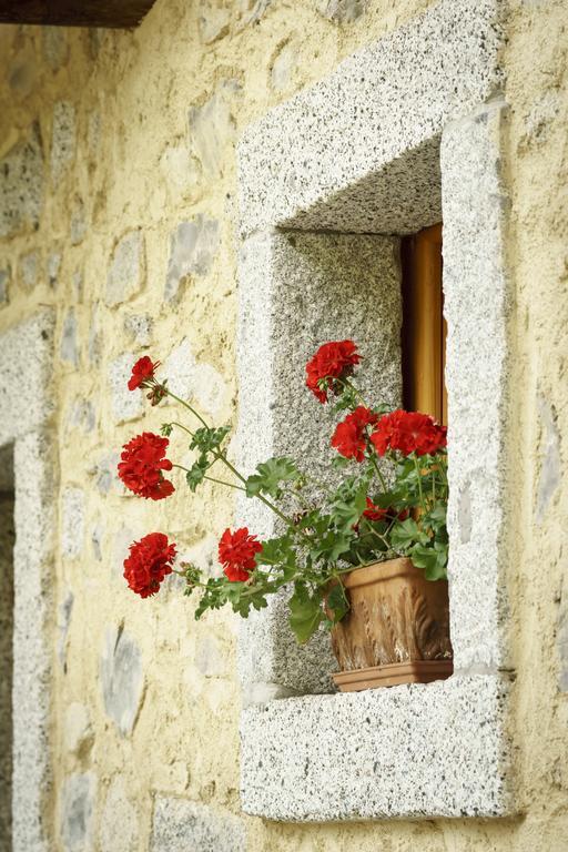Vila Agritur Manoncin Daone Exteriér fotografie